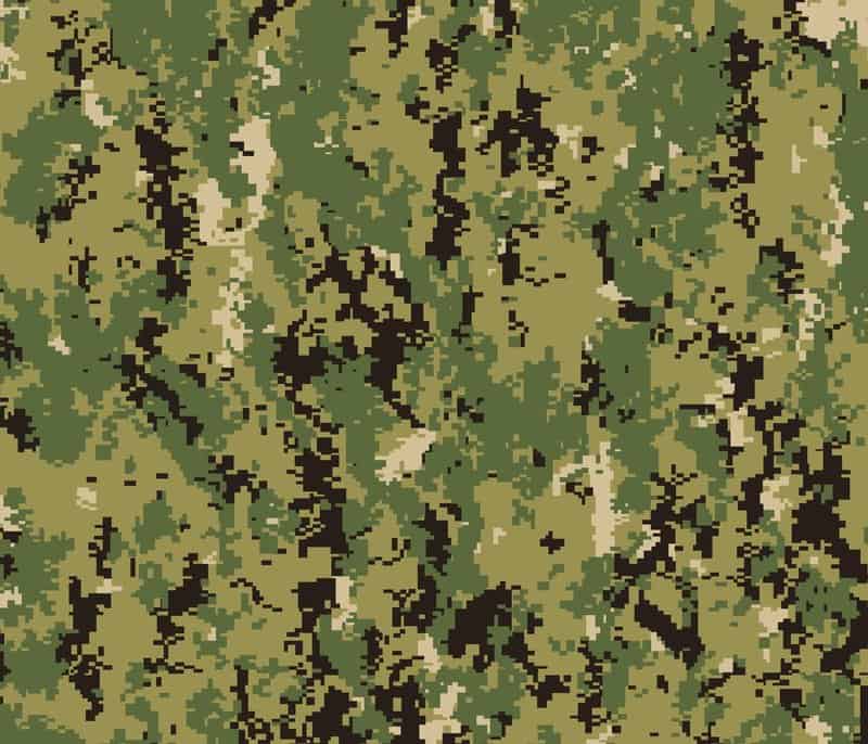 what-is-camouflage-with-pictures